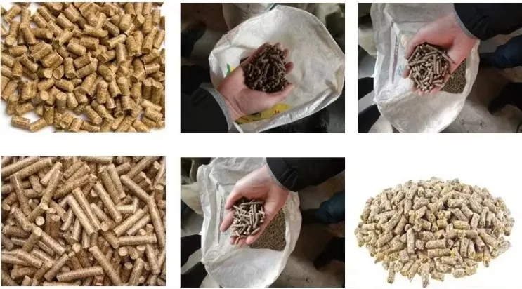 20251224104812 20251224104812